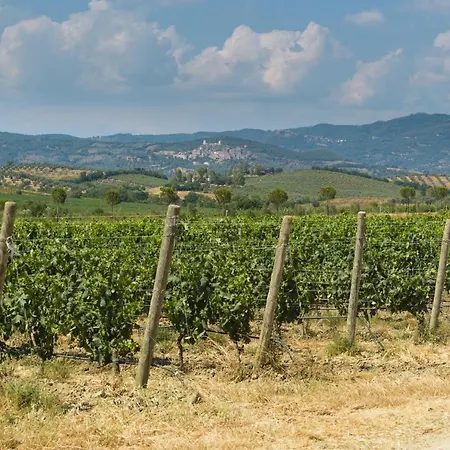 Tenuta Rocca Di * Montemassi